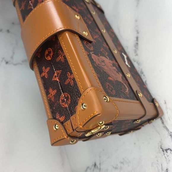 Louis Vuitton Catogram Trunk Petite Malle cat bag crossbody LV Grace Coddington - Picture 9 of 15